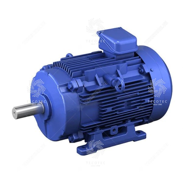 Động cơ Sumitomo Drive Technologies FMFM